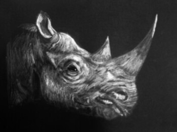 Named contemporary work « Rhinocéros », Made by EG