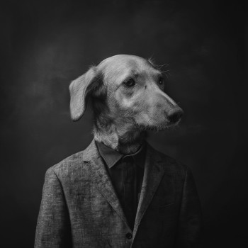 Named contemporary work « The dog man », Made by MIGUEL DUVIVIER