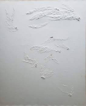 Named contemporary work « Les plumes - The Feathers », Made by LAWRENCE