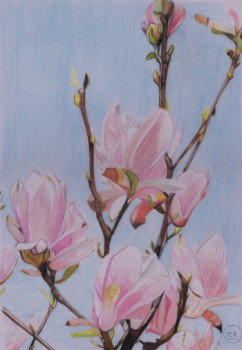 Named contemporary work « Magnolia ... le printemps est là. », Made by PIRDESSINS