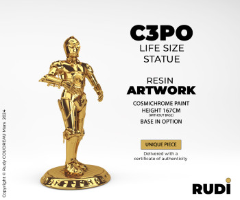 Named contemporary work « C3PO », Made by RUDI