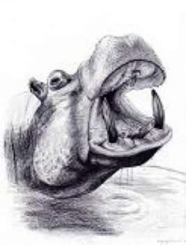 Named contemporary work « Hippopotame », Made by CHLOé YZOARD