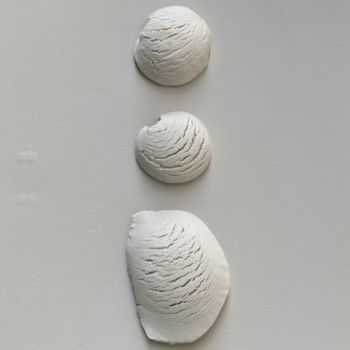 Named contemporary work « Conchas », Made by SAKURASARA