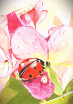 Named contemporary work « Coccinelle », Made by PIRDESSINS