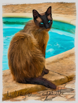 Named contemporary work « Monsieur le chat », Made by DOMINIQUE DULOT DIGITAL