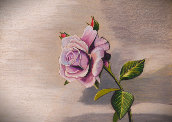 Named contemporary work « Une simple rose », Made by PIRDESSINS