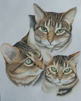 Named contemporary work « Chats », Made by FABELIE