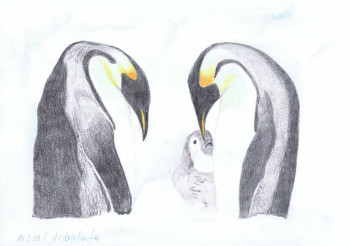Named contemporary work « Pinguine Familie », Made by ABDELGHAFAR