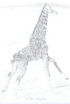 Named contemporary work « Giraffe », Made by ABDELGHAFAR