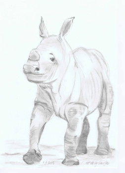 Named contemporary work « Rhino Baby », Made by ABDELGHAFAR