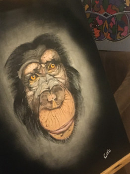 Named contemporary work « Primate one », Made by COCO