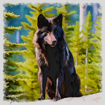 Named contemporary work « loup alpha noir », Made by DOMINIQUE DULOT DIGITAL