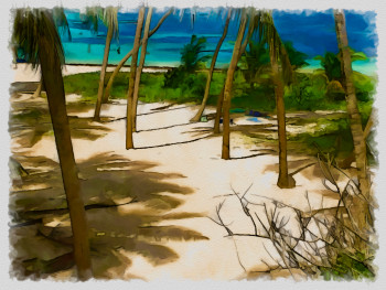 Named contemporary work « anse michel Martinique », Made by DOMINIQUE DULOT DIGITAL