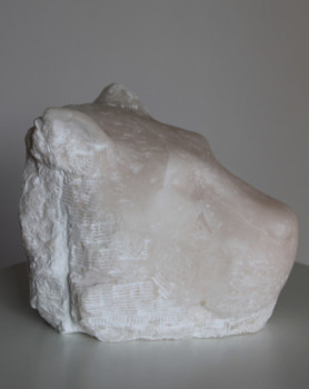 Named contemporary work « Big Cat », Made by OLLTII