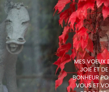 Named contemporary work « Capter avant que l’instant s’échappe », Made by FLORENT FLORENT PENNUEN