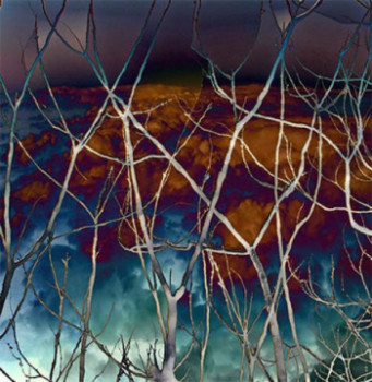 Named contemporary work « Les Branches d'Hiver », Made by LORENA BOWSER