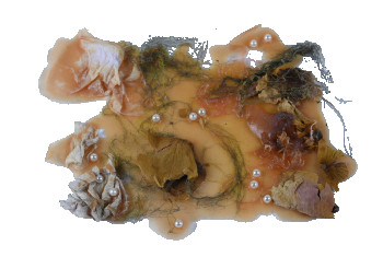Named contemporary work « Shedded skin », Made by EMMA ROMEO