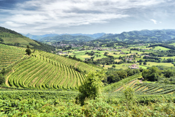 Named contemporary work « PAYS BASQUE 1 », Made by JEAN-JACQUES MASSOU