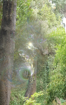 Named contemporary work « La vie de l'Hêtre », Made by VERO JAQUES