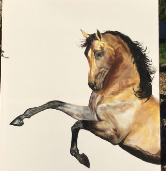 Named contemporary work « Cabré cheval pure race espagnole », Made by ANNABEL LABATIE
