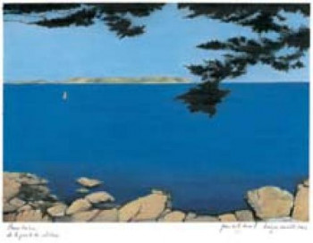 Named contemporary work « pointe du Chateau en Perros-Guirec », Made by PIERRE-EMILE DURAND