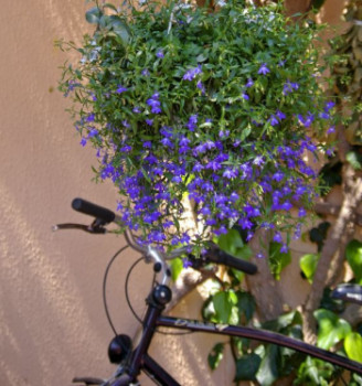 Named contemporary work « La fleur bleue et la bicyclette », Made by FRANçOISE MIRAY