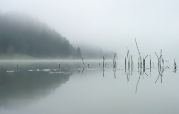 Named contemporary work « Novembre aux Taillères », Made by JEAN-BERNARD VUILLE