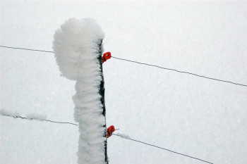 Named contemporary work « Les isolateurs rouges », Made by JEAN-BERNARD VUILLE