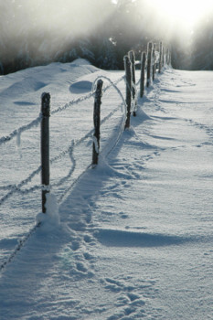 Named contemporary work « Barbelé de givre II », Made by JEAN-BERNARD VUILLE