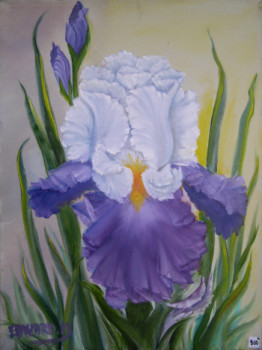 Named contemporary work « IRIS VIOLET », Made by EDWARD