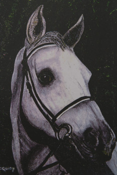 Contemporary work named « CHEVAL GRIS PORTRAIT », Created by VERONIQUE LESTOQUOY