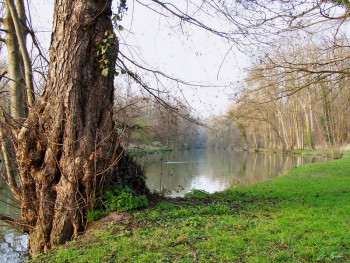 Named contemporary work « Bord de l'Yerres », Made by GRéGORY FOULON