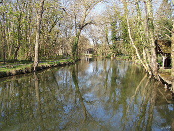 Named contemporary work « Reflet d'Yerres 2 », Made by GRéGORY FOULON