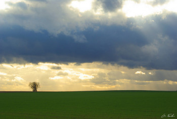 Named contemporary work « Paysage champêtre 5 », Made by GRéGORY FOULON