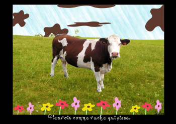 Named contemporary work « Pleuvoir comme vache qui pisse », Made by FRéDéRIQUE LACLOS