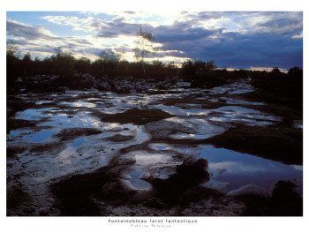 Named contemporary work « Apres l'orage », Made by FABRICE MILOCHAU