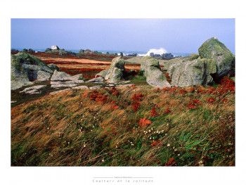 Named contemporary work « ouessant », Made by FABRICE MILOCHAU