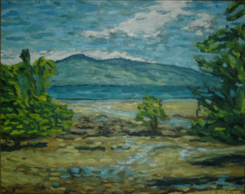 Named contemporary work « La mangrove, Madagascar », Made by ALFREDO