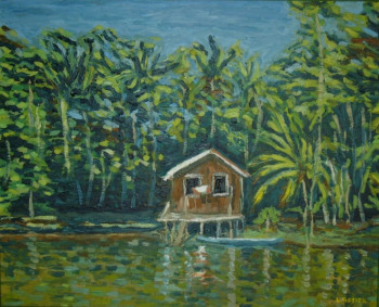 Named contemporary work « Sur la rivière, Amazonie », Made by ALFREDO