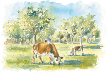 Named contemporary work « sous les pommiers les vaches », Made by YVES DE SAINT JEAN