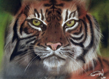 Named contemporary work « tiger », Made by LAMINE REGGAD