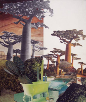 Named contemporary work « les pérégrinations du cactus-bains sous baobabs », Made by DOM.D