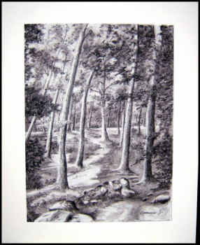 Named contemporary work « Forêt de Fontainebleau », Made by GENEVIEVE S.