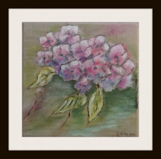 fleur-d-hortensia-fin-dete