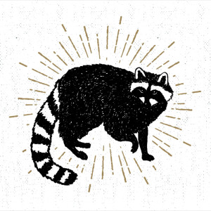 Racoon - ARTACTIF