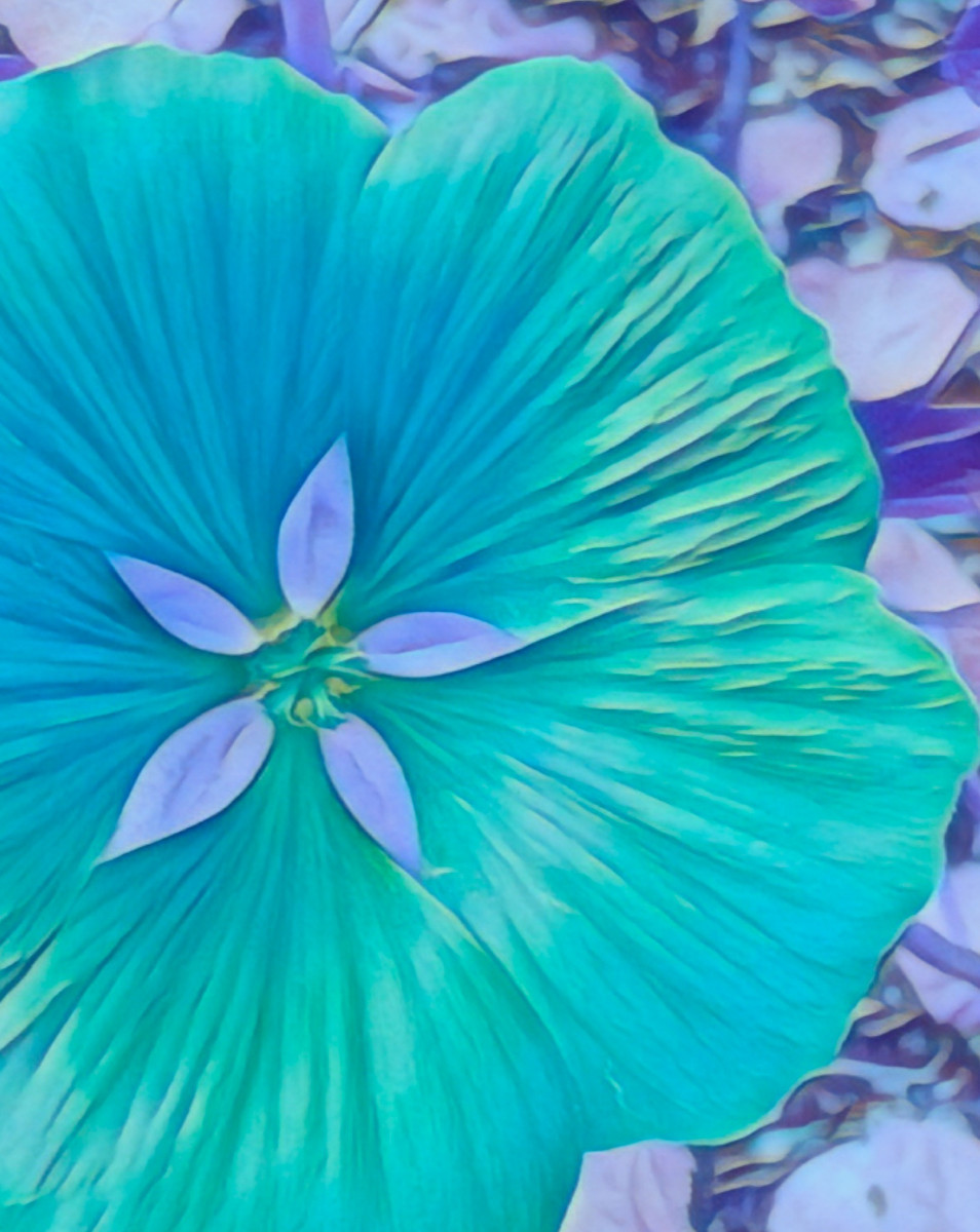Fleur PopArt sur le site d’ARTactif
