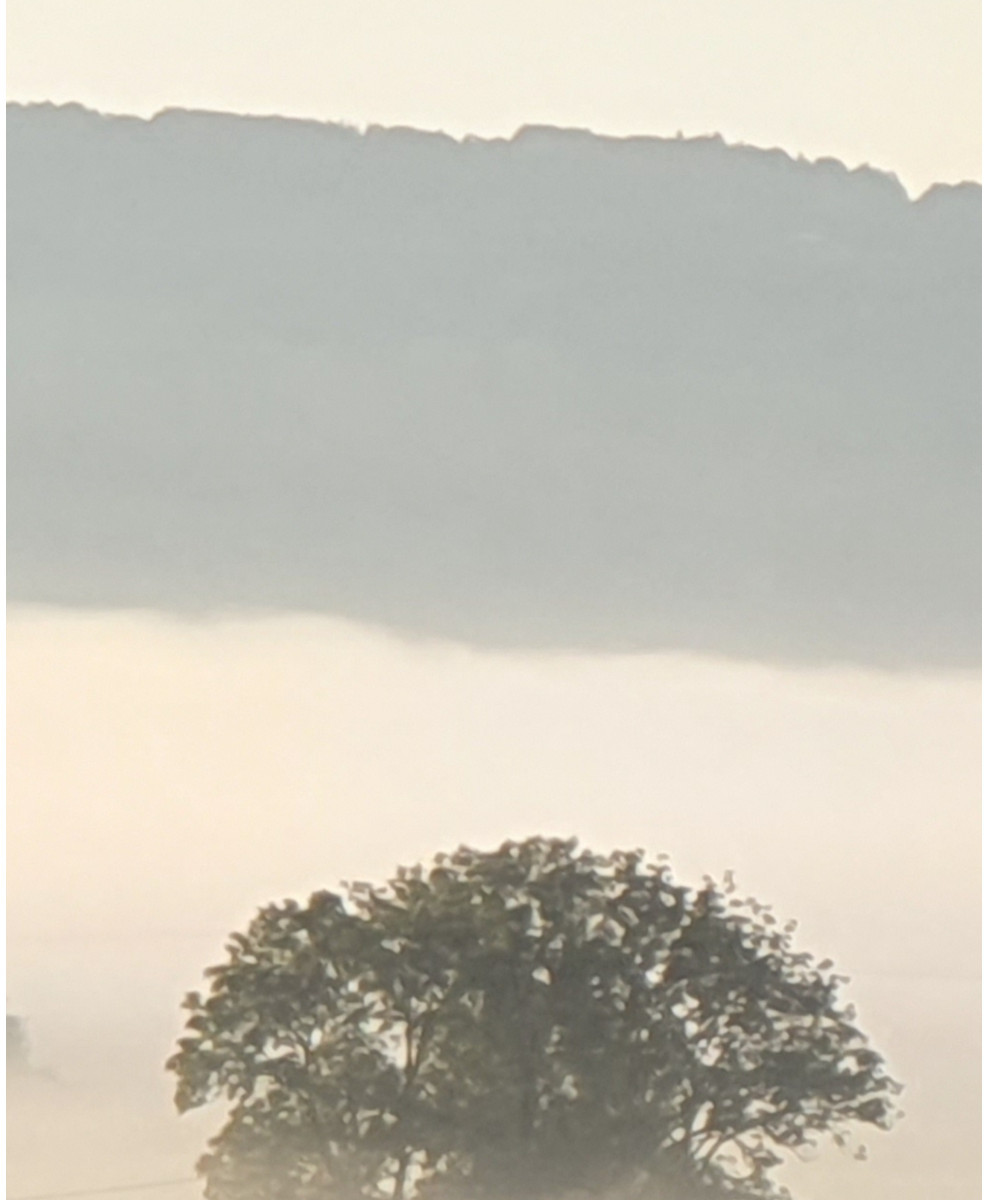 Matin brumeux sur le site d’ARTactif