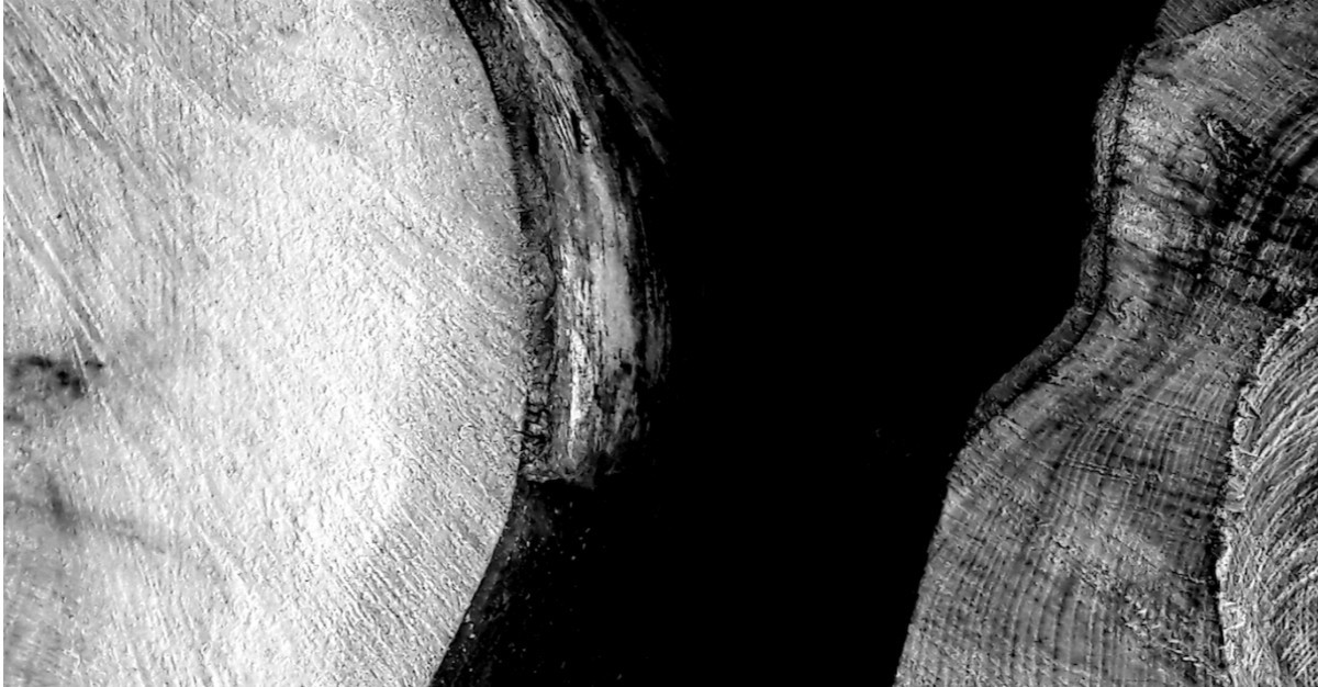 Pile/Face sur le site d’ARTactif