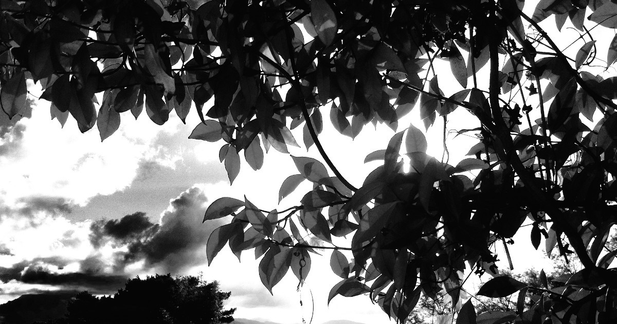 Contre-jour sur le site d’ARTactif
