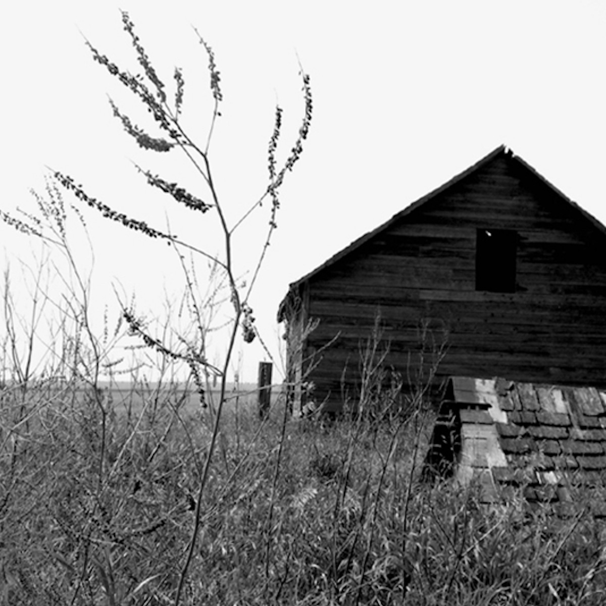 Saskatchewan sur le site d’ARTactif